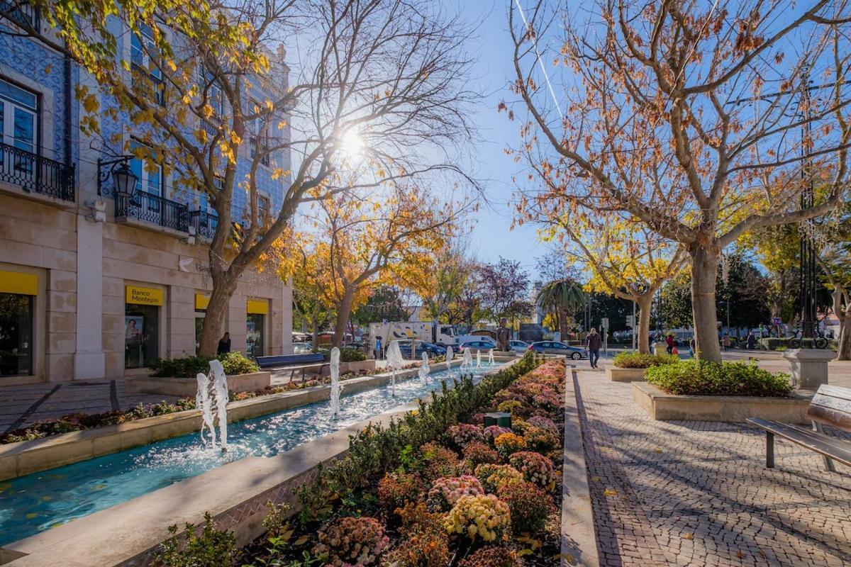 Duplexdubocage Apartment Setubal Luaran gambar